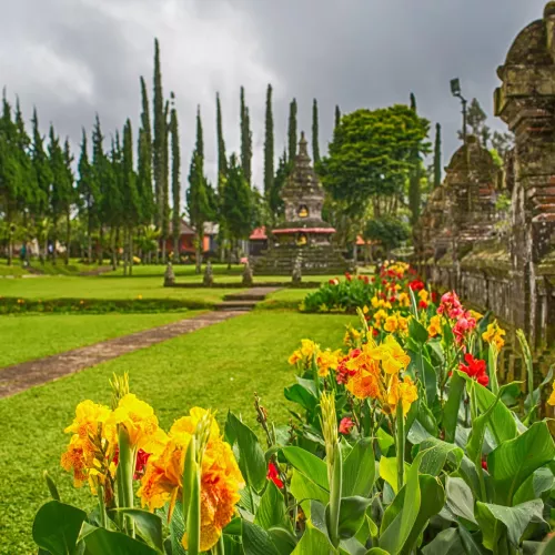Découverte du Sri Lanka Visuel